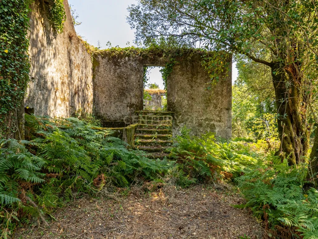 Quinta para reconstrução , em Anais, em Ponte de Lima – a vila mais antiga de Portugal. - Image 28