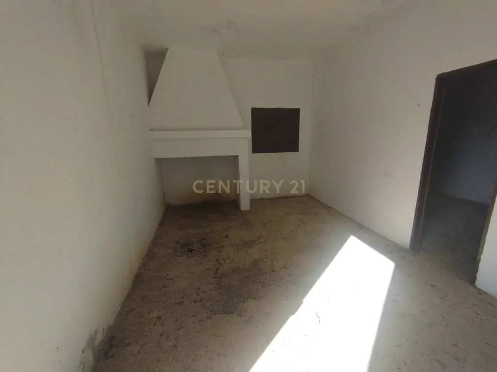 Propriedade com mais de 18 hectares de terreno rústico, localizado no Baixo Alentejo, concelho de Almodôvar - Image 8