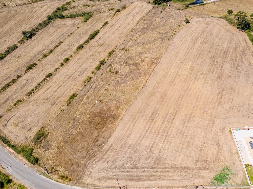 Terreno - Image 12