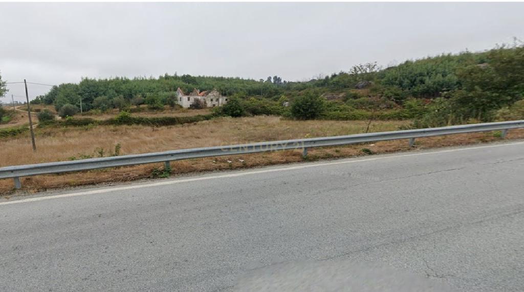 Quinta com Ruína - Oportunidade de Negócio - Image 3