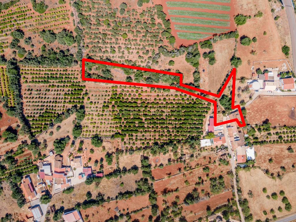 Quinta com moradia para reabilitação - Image 12