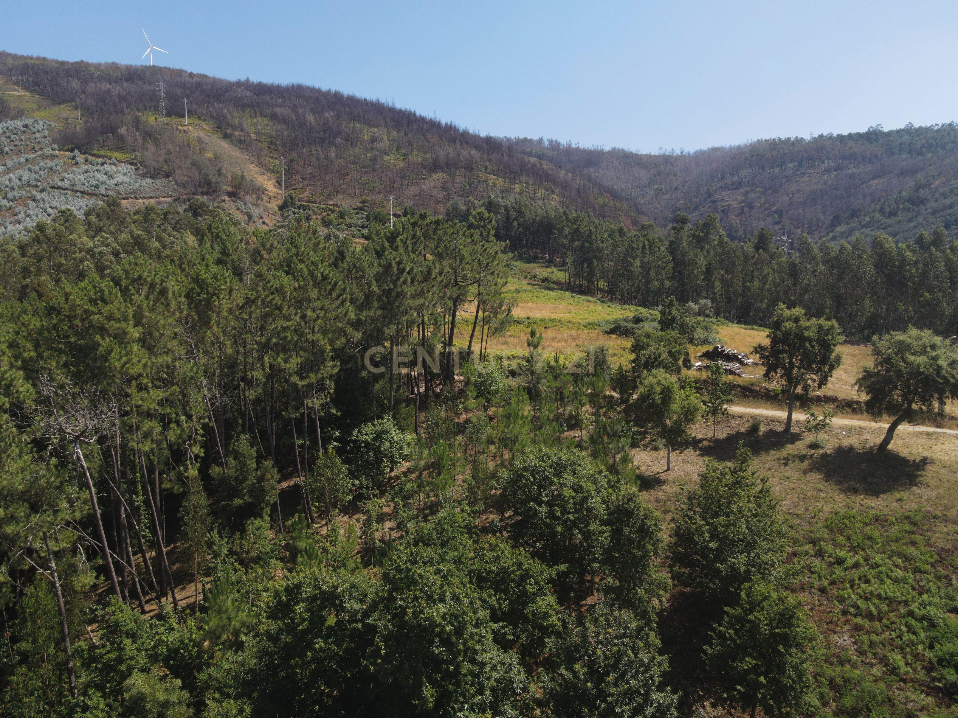 Fotografia 4 de Terreno para construção com projeto aprovado, vistas panorâmicas, bom acesso numa localização exceptional e sossegada a 5 min. de Lousã