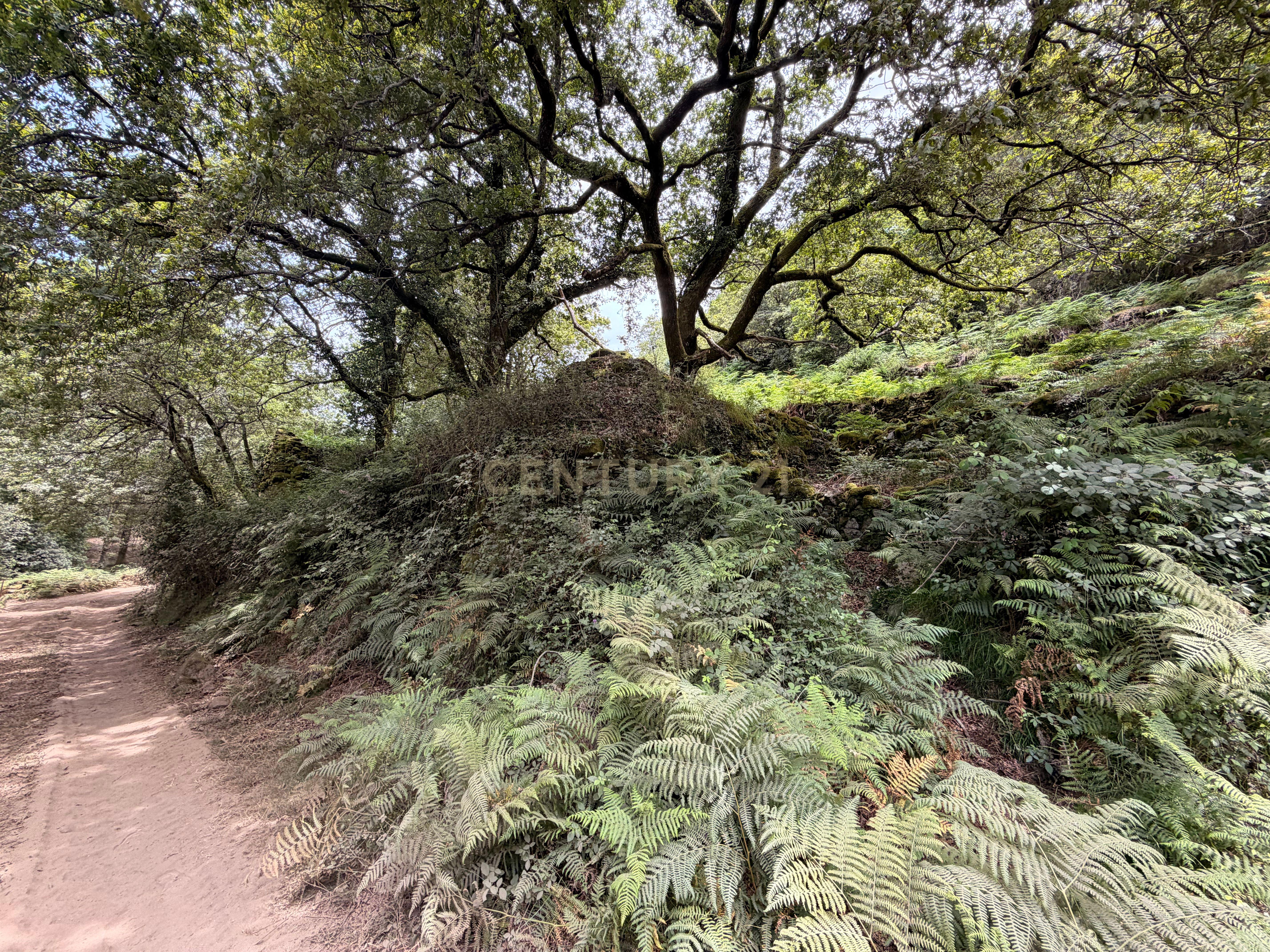 Fotografia 3 de Moradia para restauro e terreno com 2 261m2 em Adrão, Arcos de Valdevez