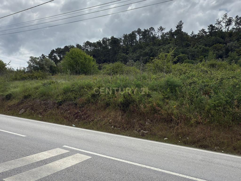 Terreno à venda em Alcobaça – Oportunidade única! - Image 12