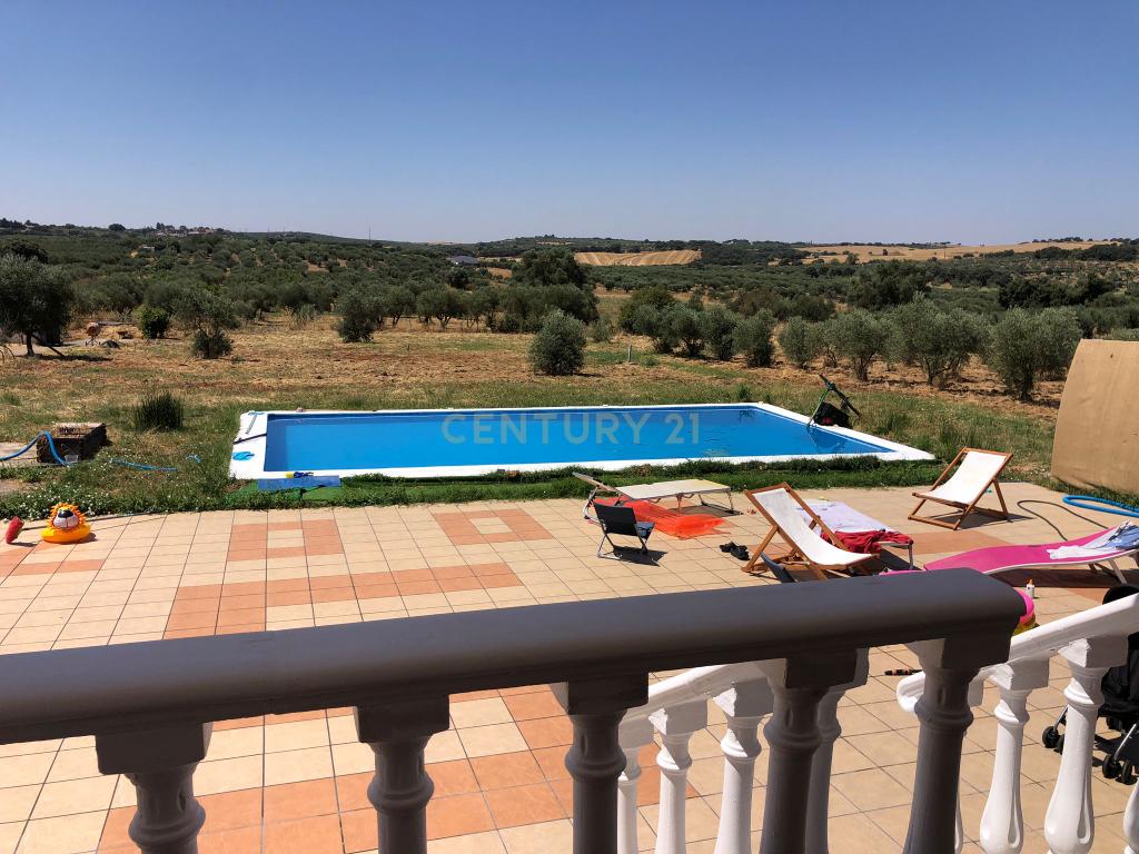 Espetacular Moradia com Piscina e Vinhedo em Campo Maior - Image 11