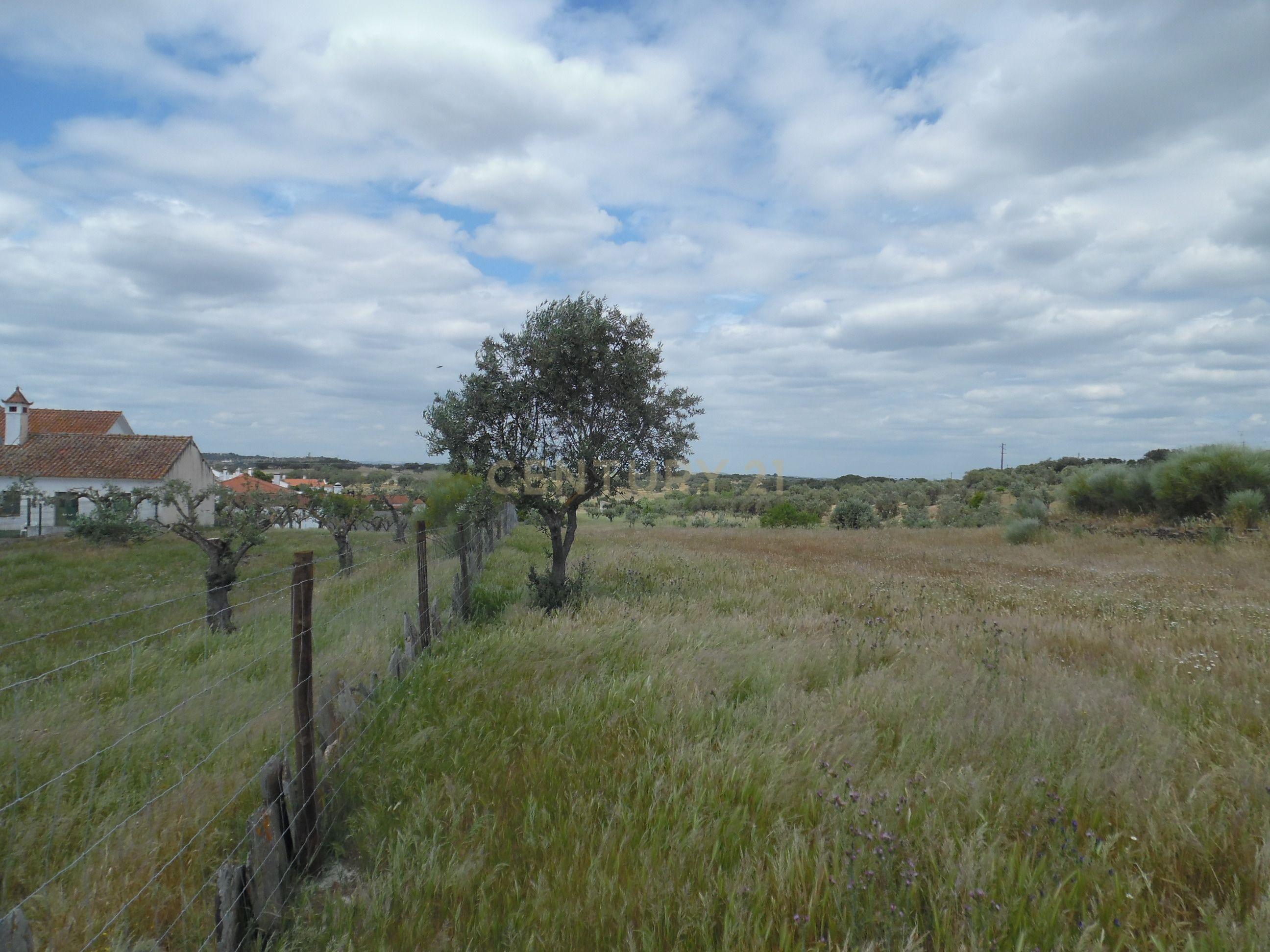 Moradia T3 à venda em Capelins (Santo António), Alandroal — foto 23