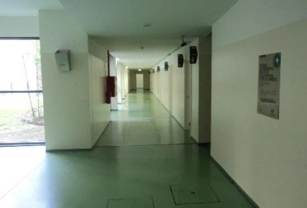 Quinta, Antigo Edifício do ISAVE (universidade) na Póvoa de Lanhoso - Image 38