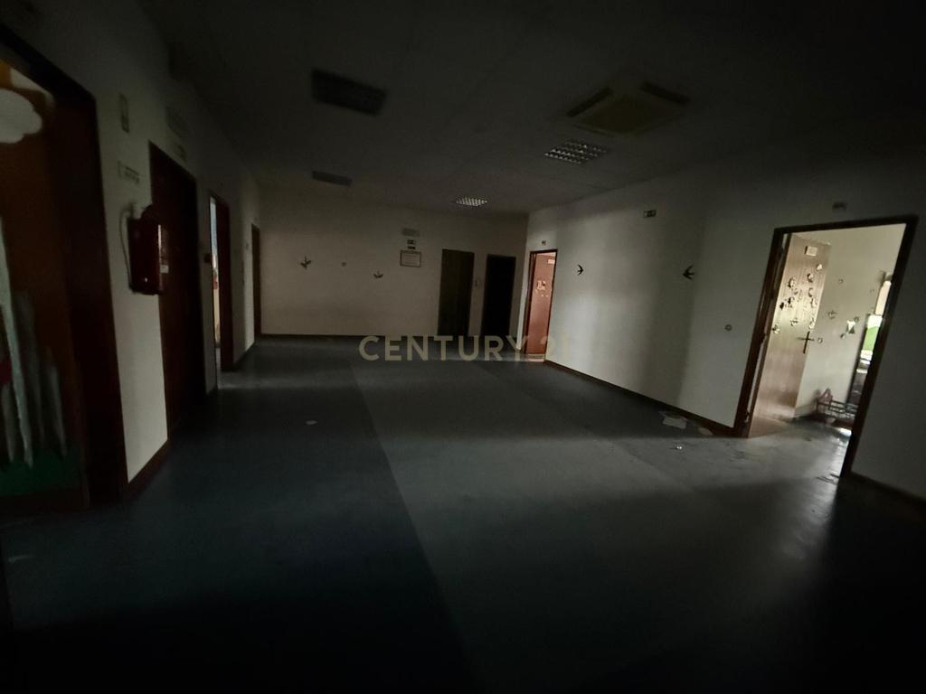 Oportunidade de Investimento, Castelo Branco - Image 10