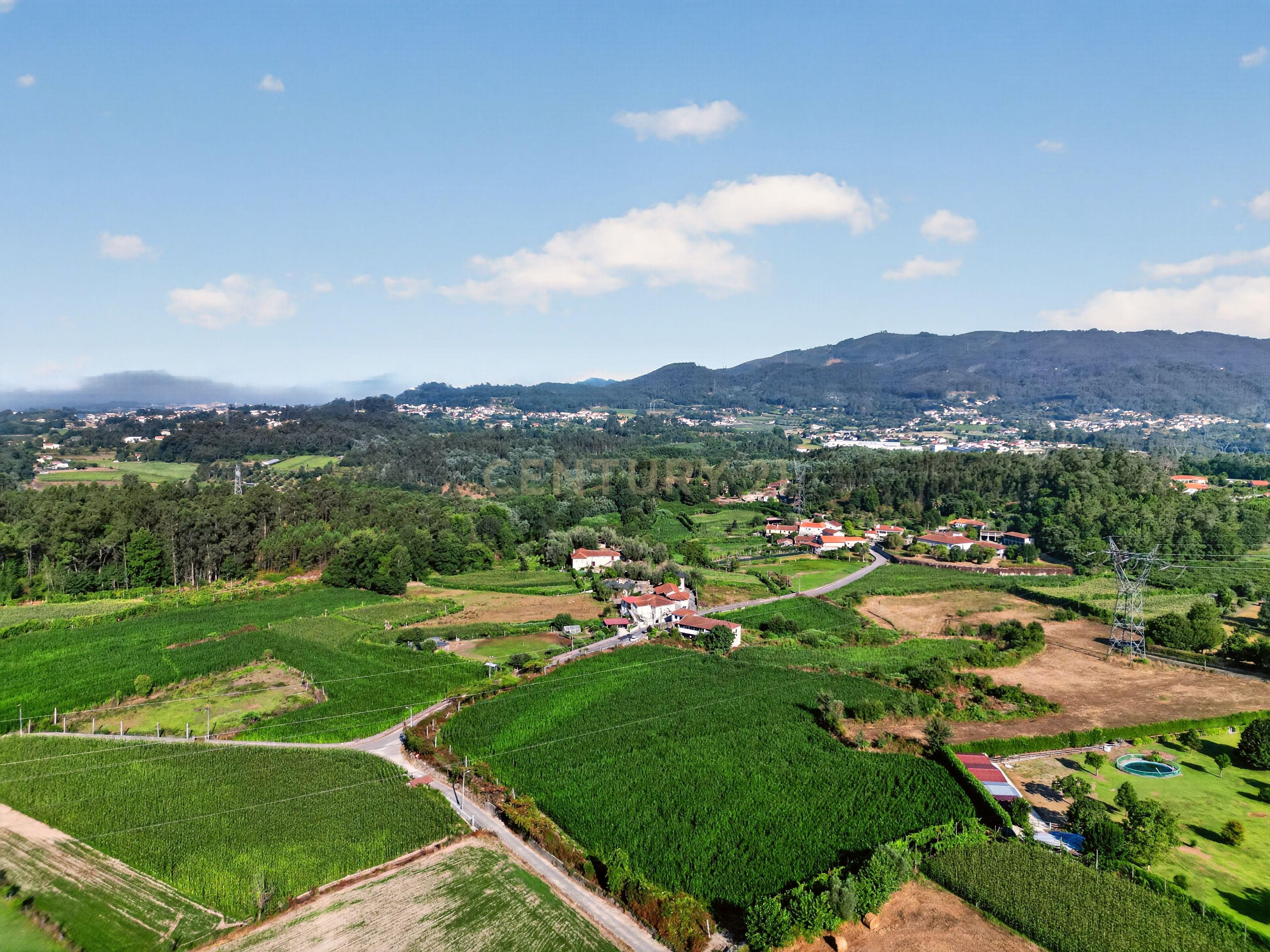 Fotografia 12 de Quinta de Verim – 22.000 m² de história, natureza e potencial