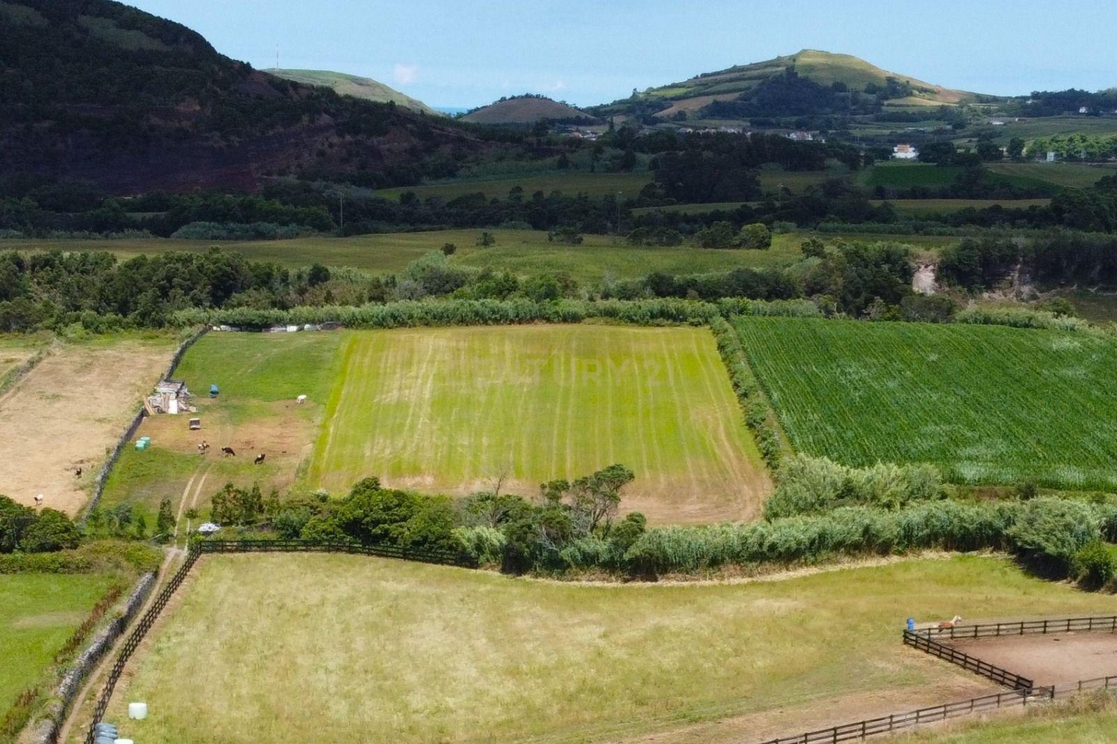 Fotografia 4 de Terreno Rústico com 15.580 m² em Ribeira Grande