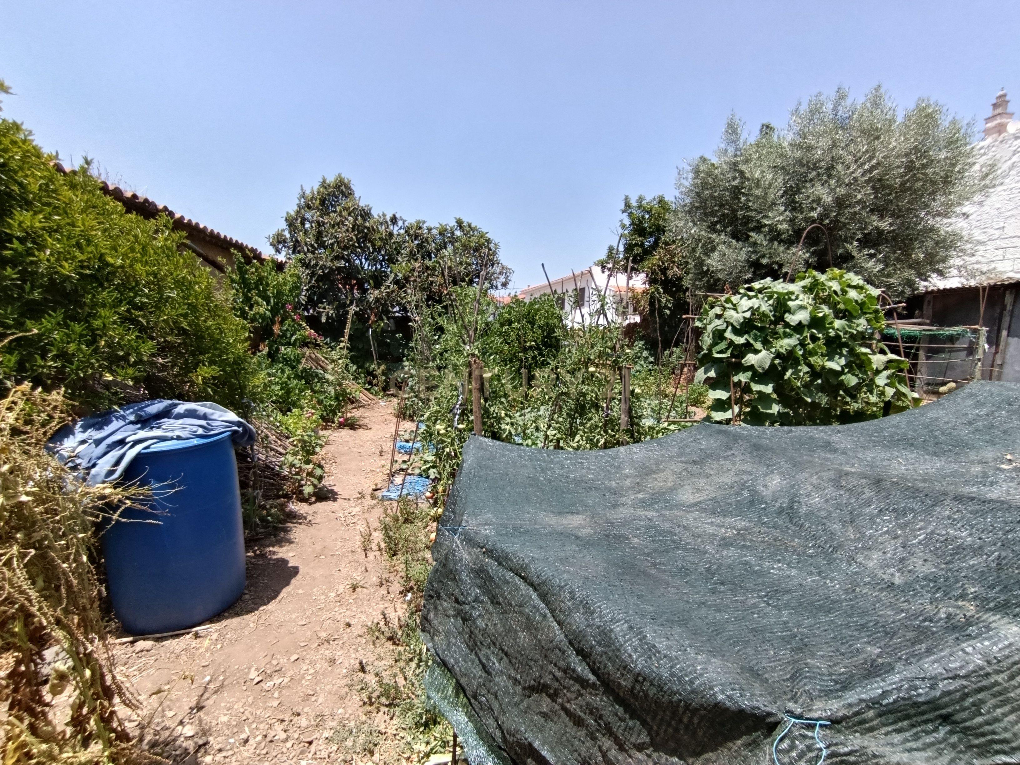 Fotografia 12 de Armazém para Recuperar em Santana da Serra – Oportunidade de Investimento a Apenas 15 Minutos do Algarve