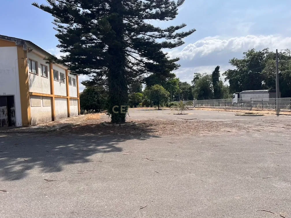 Pavilhão com grande potencial industrial/comercial junto à estrada principal em Albergaria – Juncal - Image 6