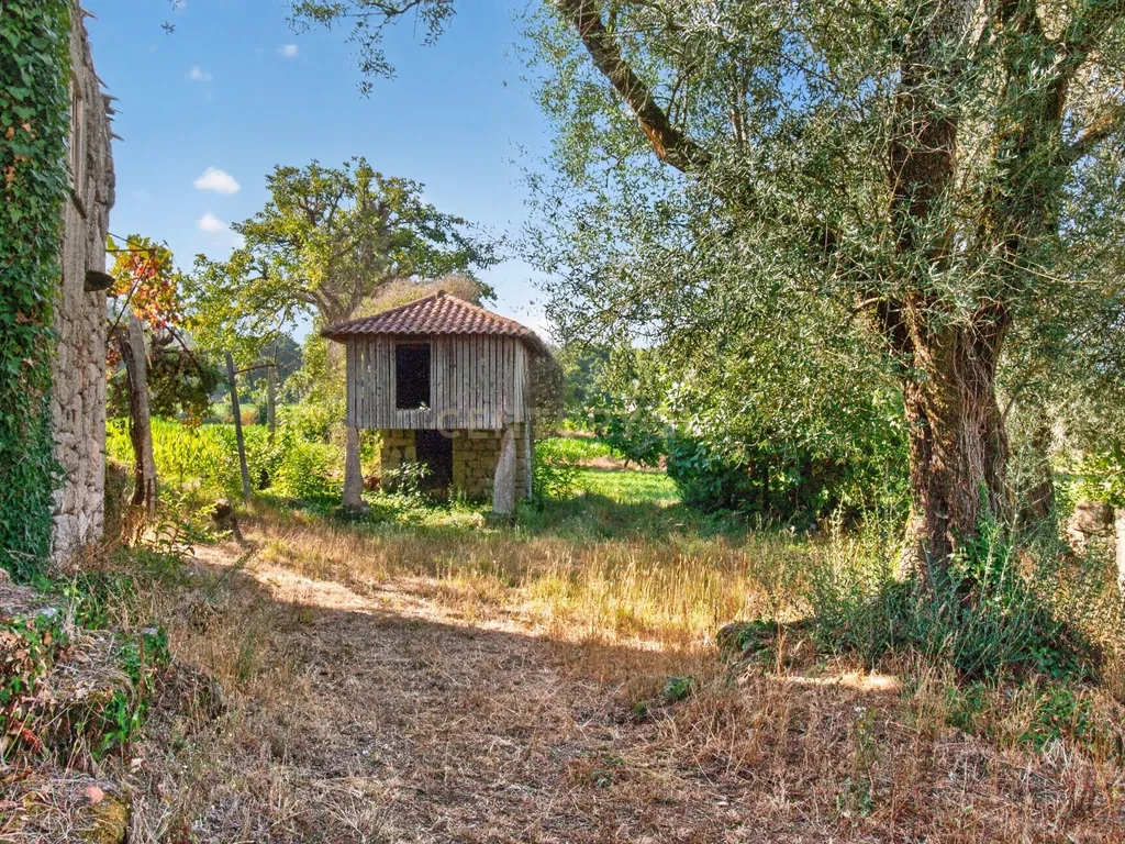 Quinta de Verim – 22.000 m² de história, natureza e potencial - Image 39