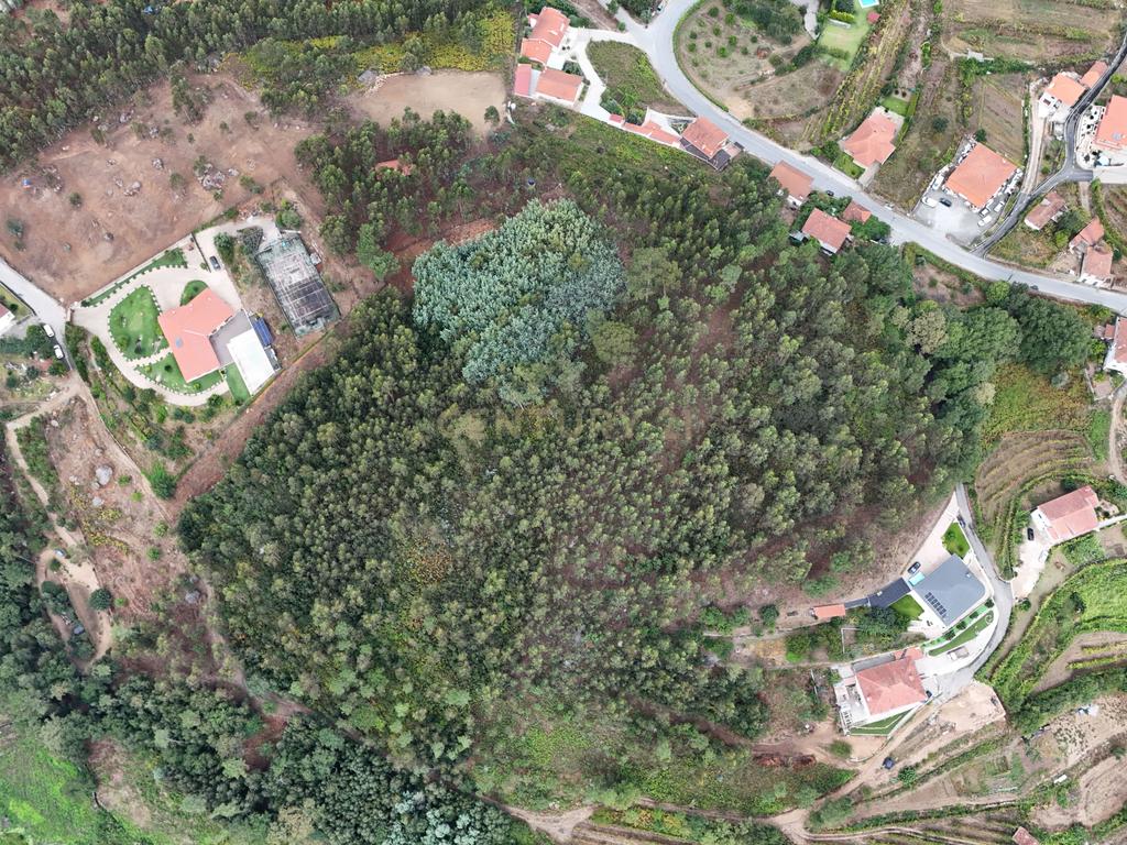 Venda de Terreno Rústico – Excelente Potencial para Projeto Fotovoltaico - Image 12