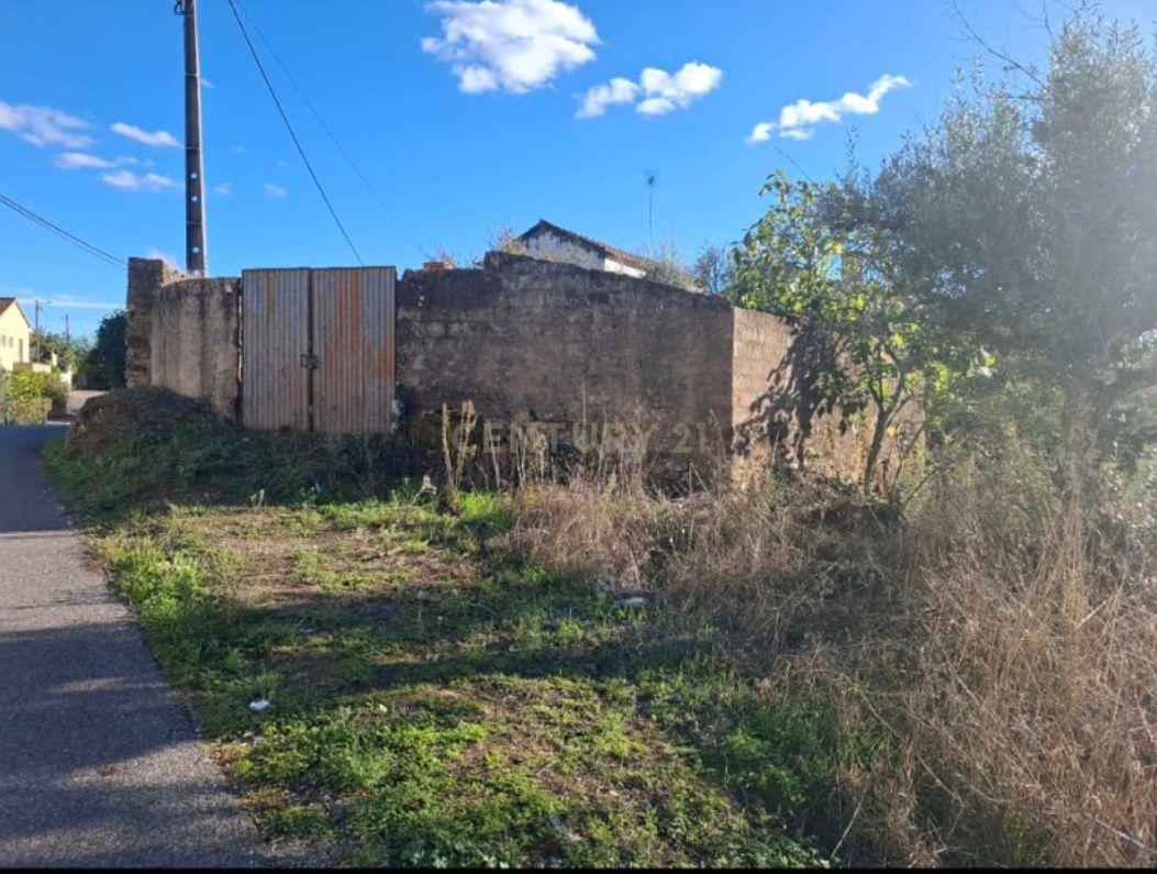Fotografia 8 de Terreno Misto com 1.320 m² | Área Urbana + Olival | Alcaravela, Sardoal