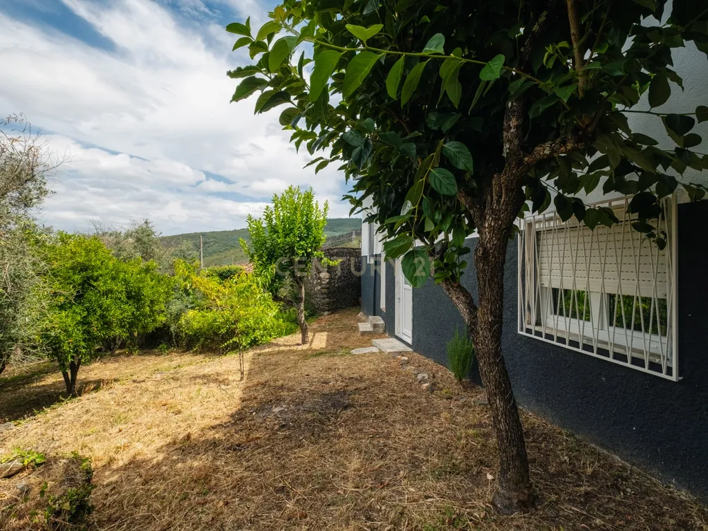 Moradia Renovada em Serpins, Lousã com 3 Casas de Banho - Image 44