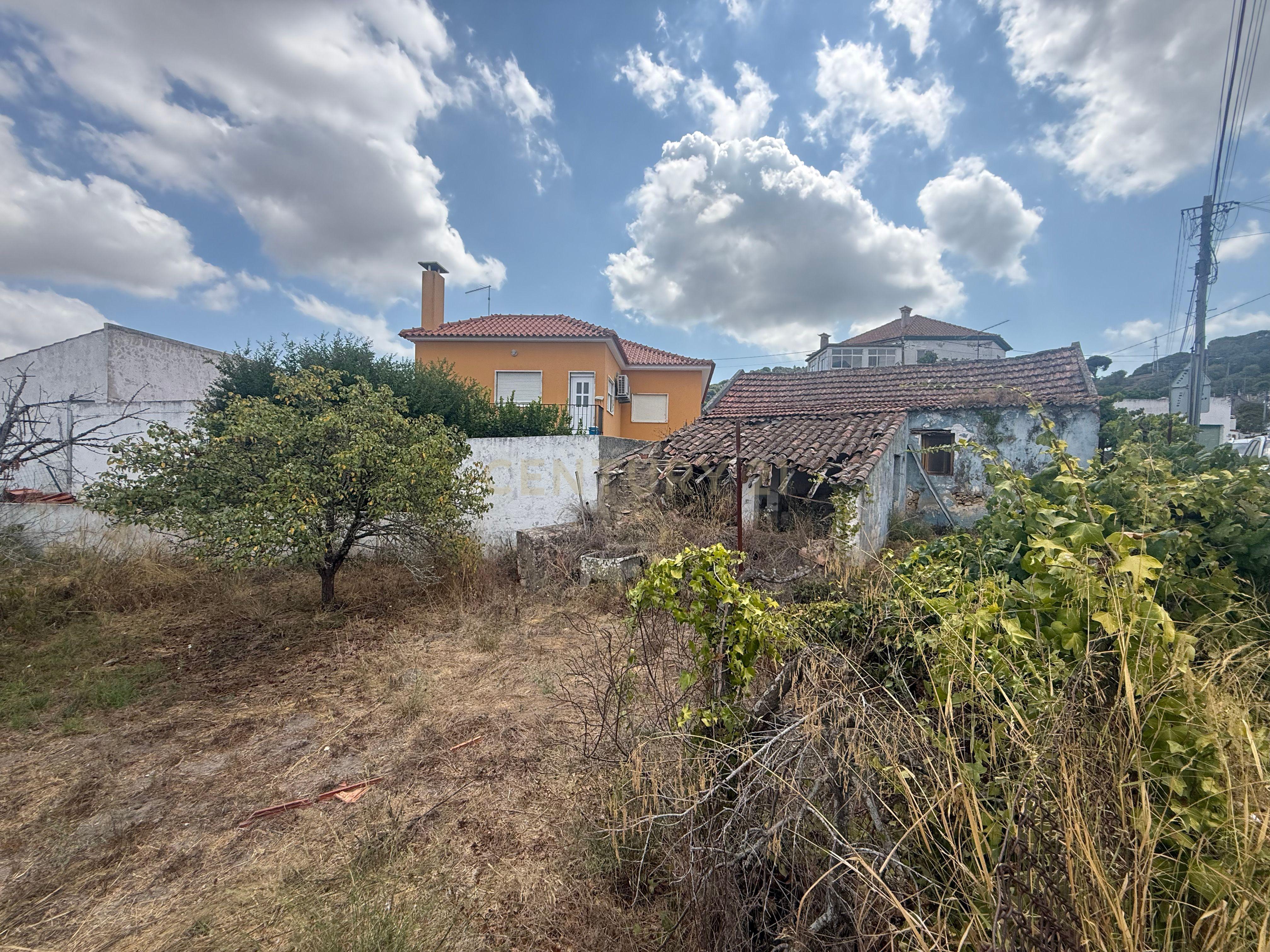 Fotografia 7 de Terreno em Cabanas, quinta do Anjo, Palmela