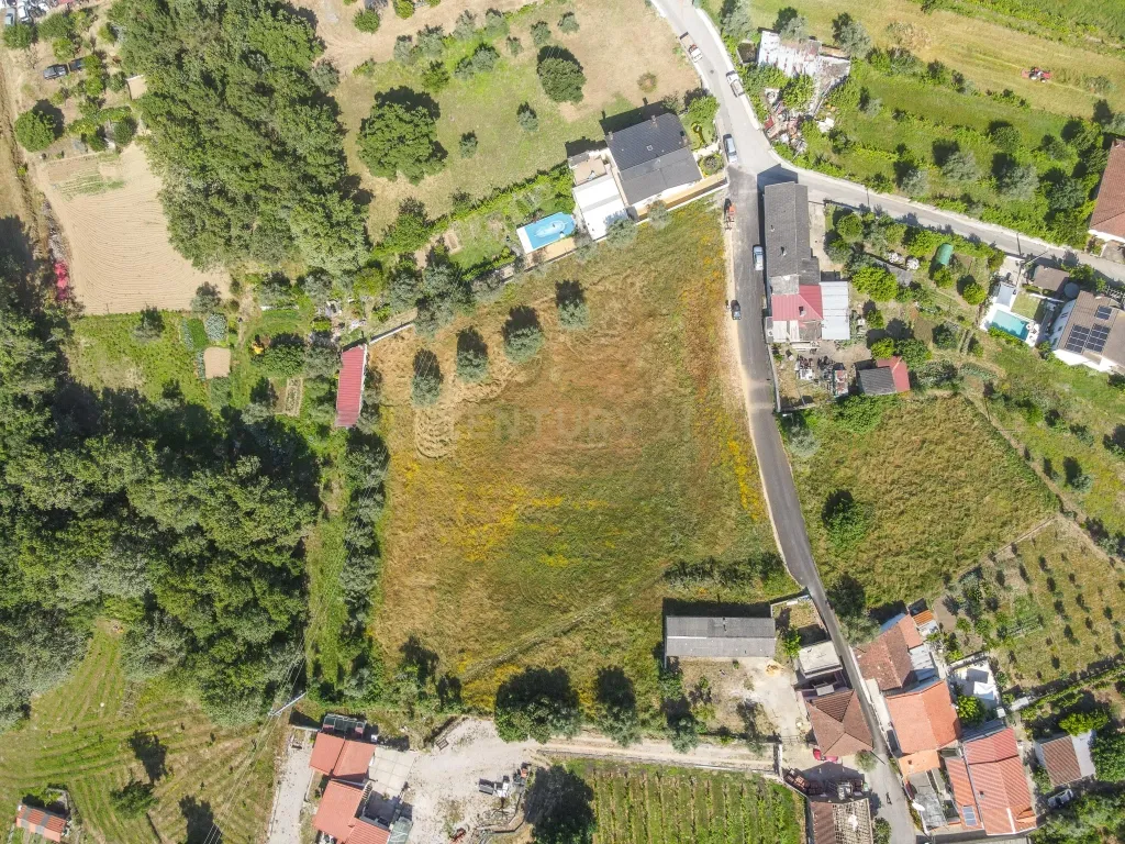 Terreno - Vila Nova de Poiares - Image 9