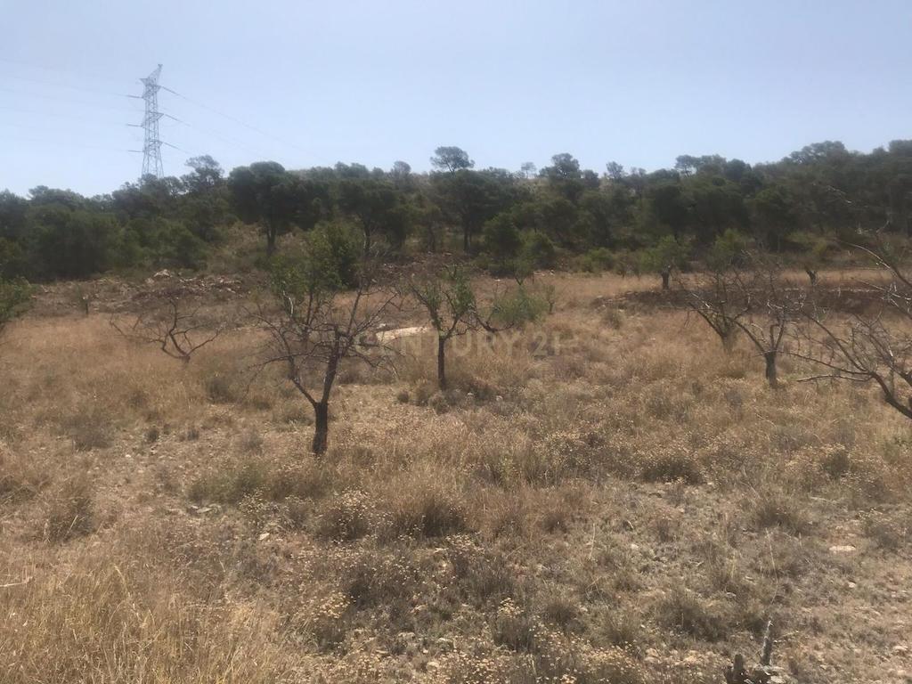 Terreno - Image 1
