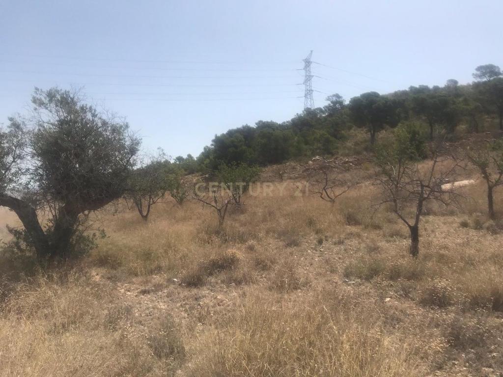 Terreno - Image 2