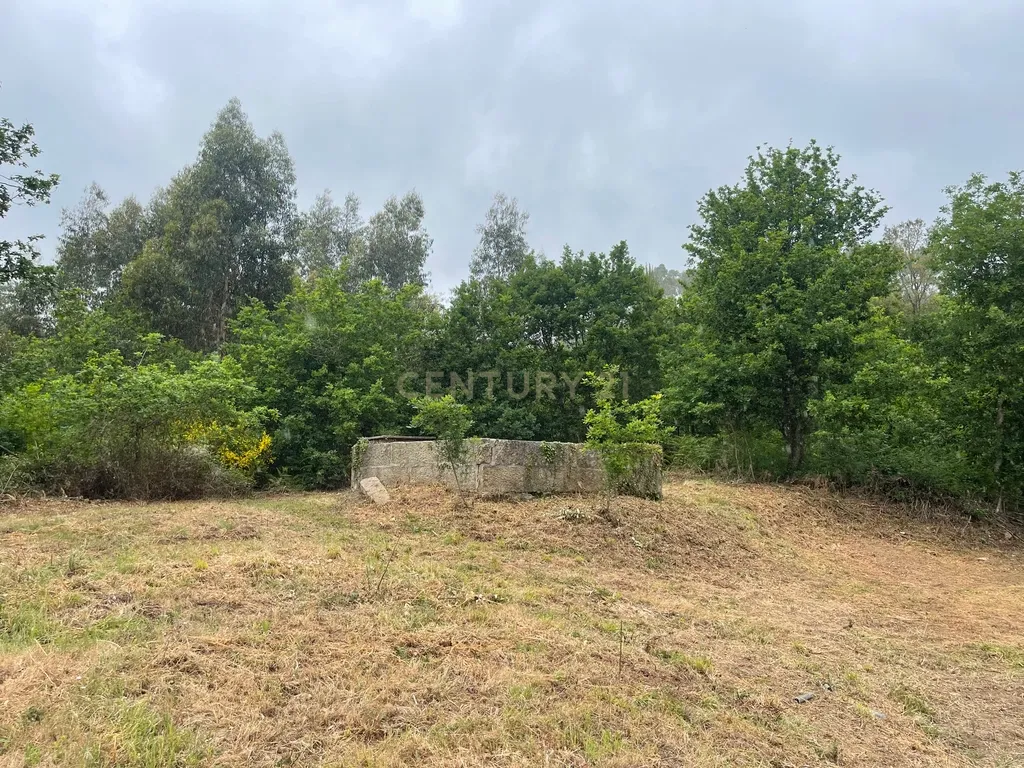 Propriedade com 1,8 hectares de área urbana e 3,2 hectares de solo fértil e floresta, composta por 8 edifícios independentes totalizando 700 m² de área construída, localizada no centro de Serrazes, São Pedro do Sul. - Image 66