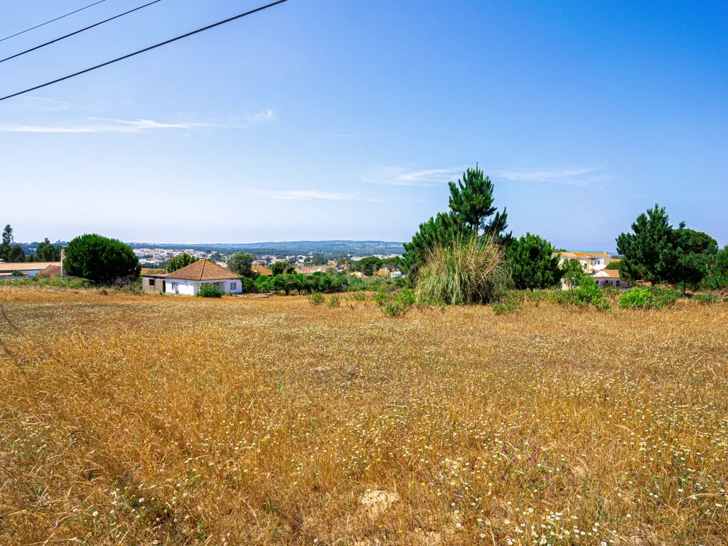 Terreno 4 910m2 | Nadadouro | Caldas da Rainha - Image 4