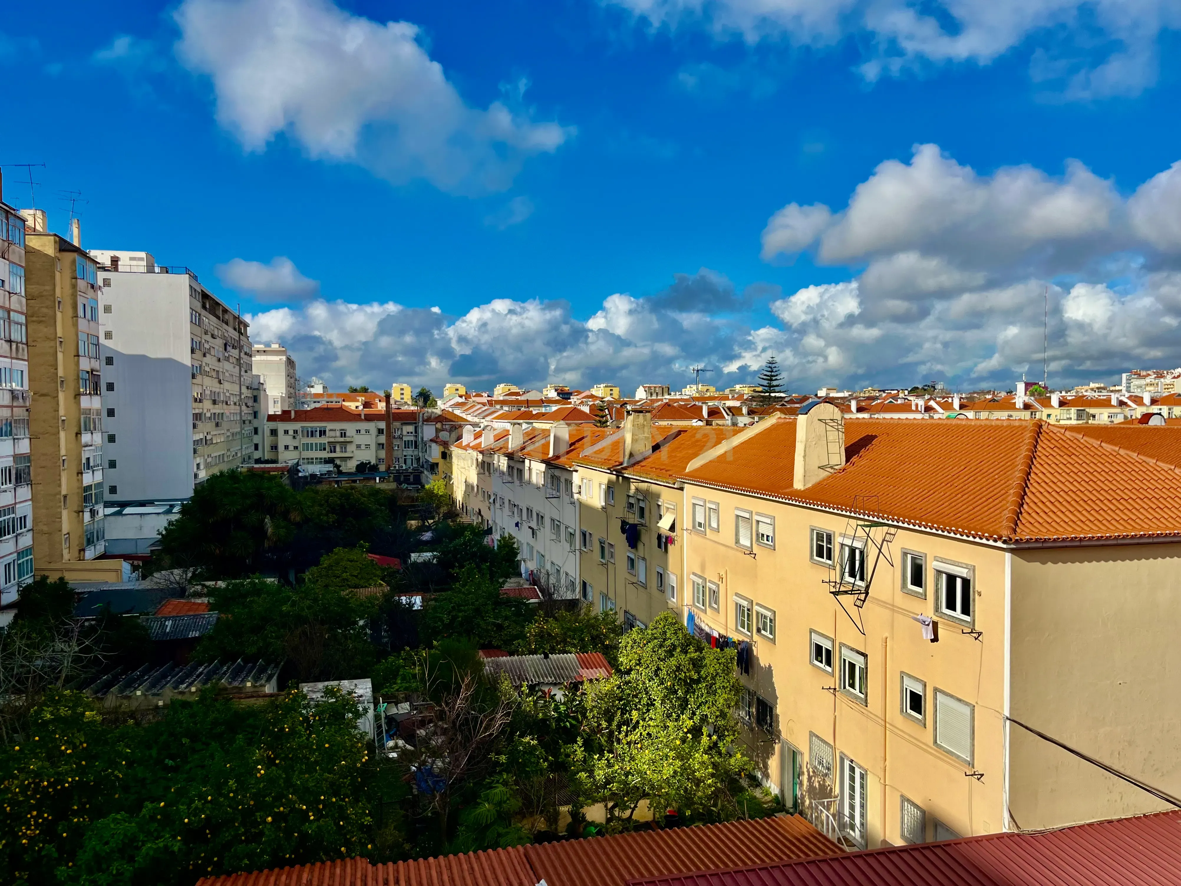 🏡 Arrenda-se Apartamento T4 em Alvalade – Remodelado | Com Garagem + 1 Estacionamento 🚗 - Image 25