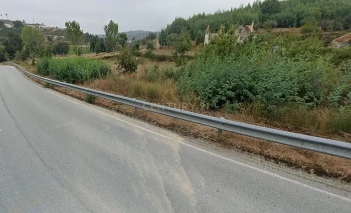 Quinta com Ruína - Oportunidade de Negócio - Image 15