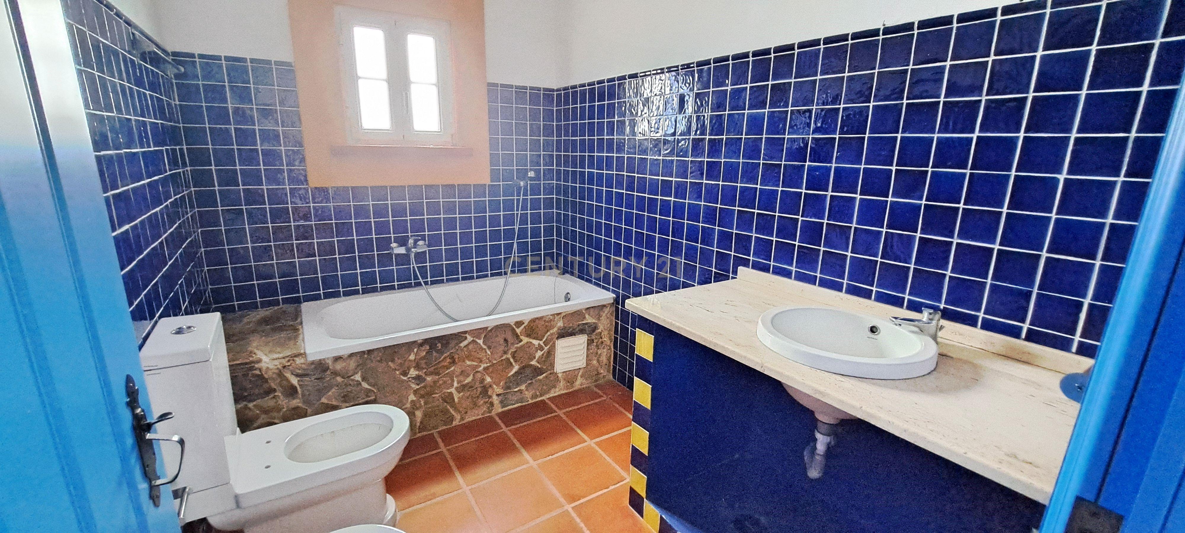 Terreno com 5250m em Pegões com Moradia e garagem sem LU - Image 13