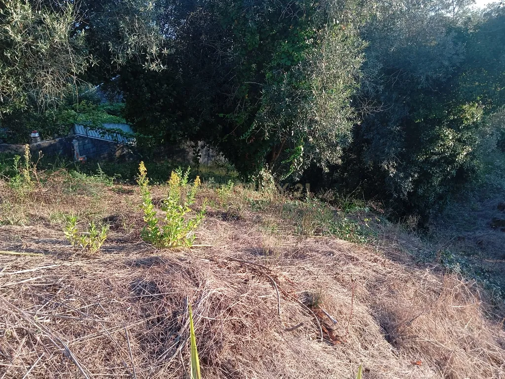 EXCELENTE LOTE DE TERRENO ENCOSTA DO SOL SOURE - Image 14