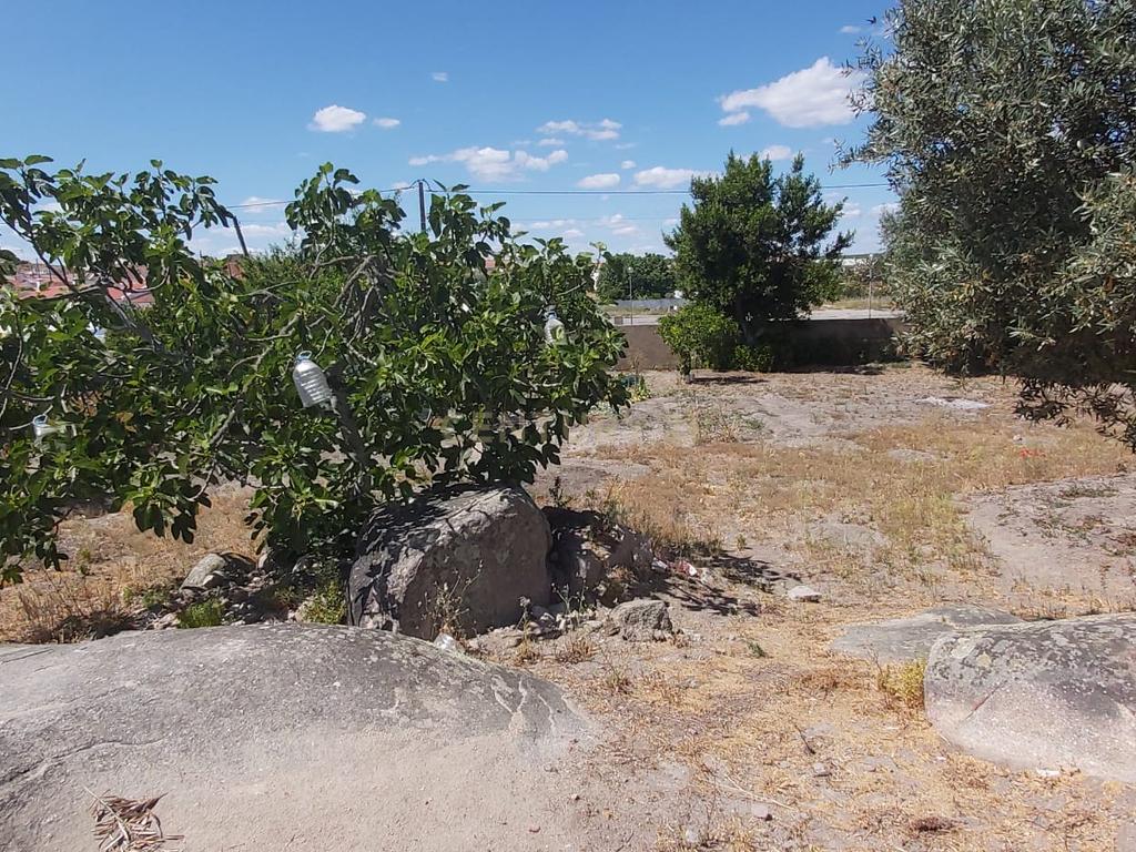 PEDROGÃO ALENTEJO - EXCELENTE TERRENO PARA CONSTRUÇÃO - Image 11