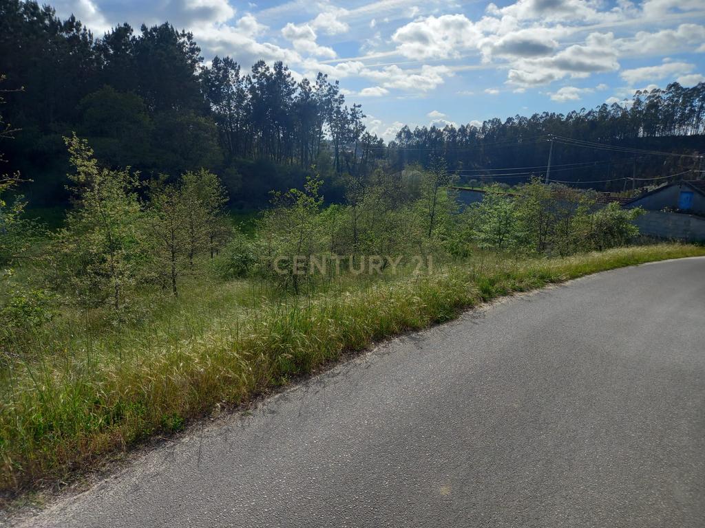 Terreno com 800 m2 em Barbas Novas - Image 9