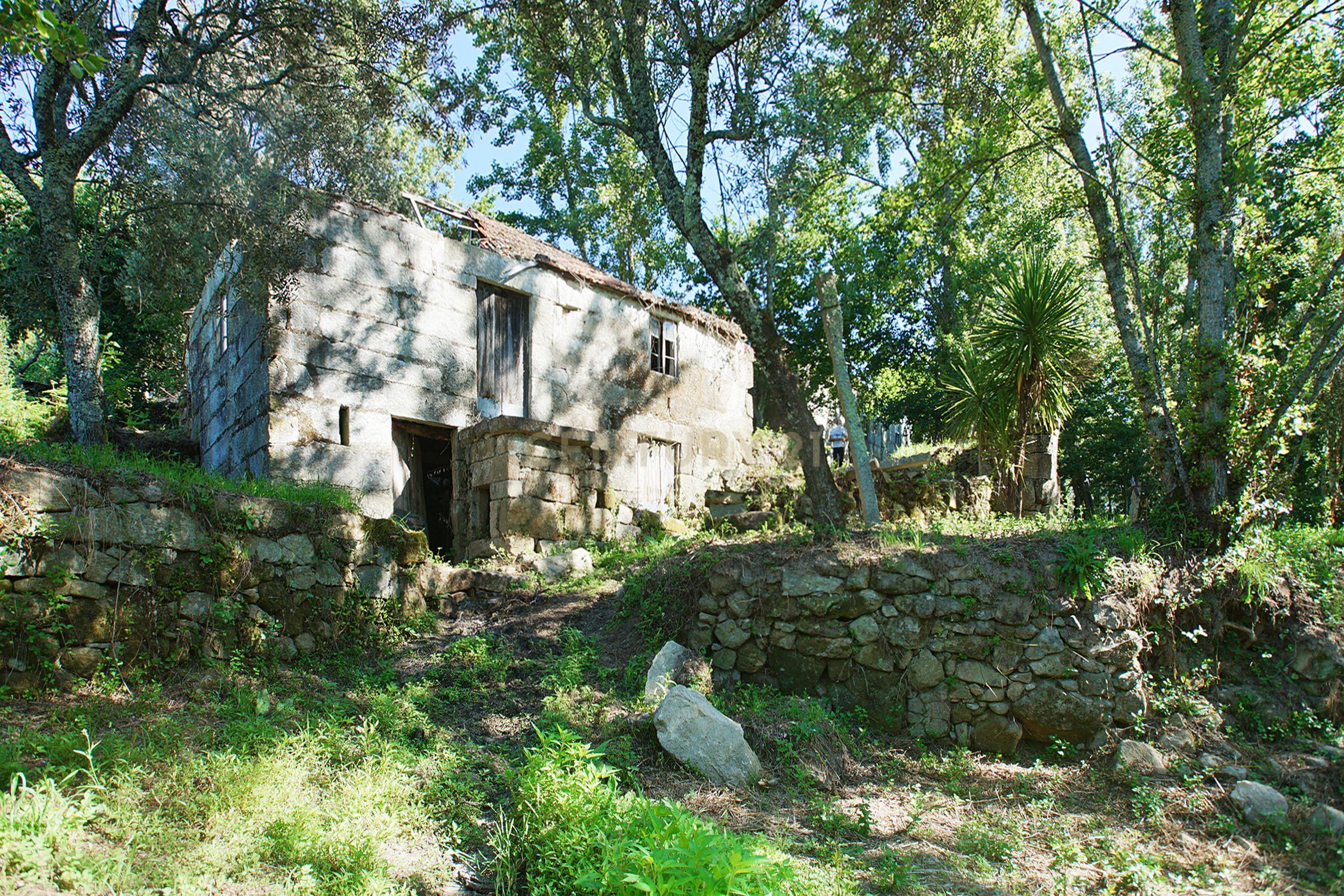 Quinta com 2 casas para restauro em Sande Marco de Canaveses - Image 13
