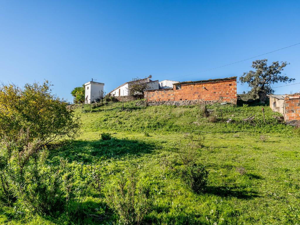 Quinta com moradia para reabilitação, na zona de Messines - Image 19