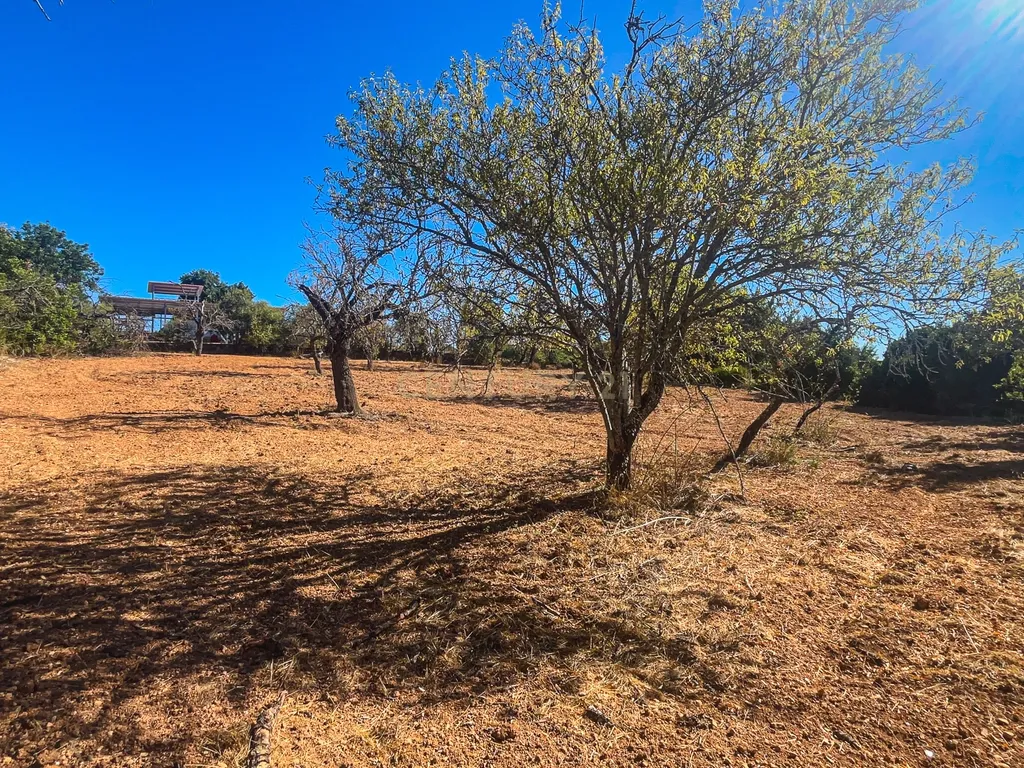 Terreno Rústico com 1.800 m² | Natureza, Privacidade e Excelente Potencial | Paderne - Image 14
