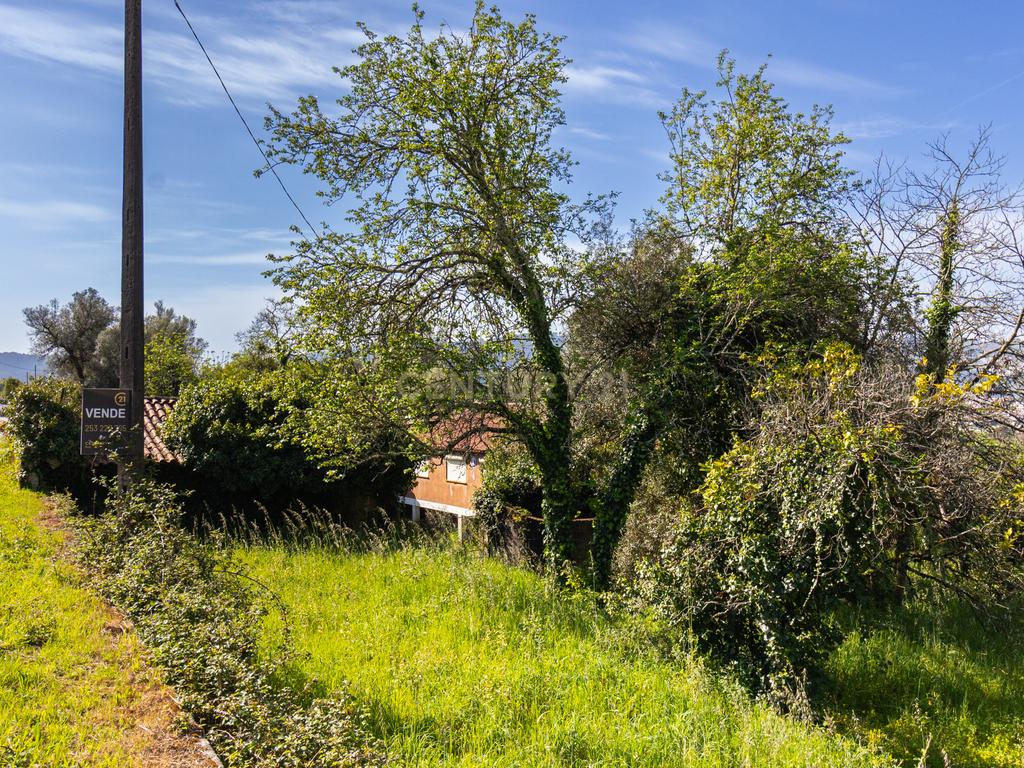 🌿 Quinta Rústica com 15.075 m² | Para Recuperar | Póvoa de Lanhoso, Braga - Image 26