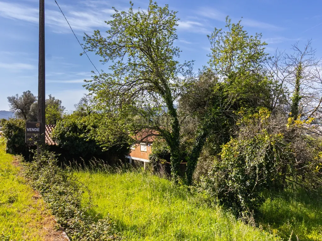 🌿 Quinta Rústica com 15.075 m² | Para Recuperar | Póvoa de Lanhoso, Braga - Image 26