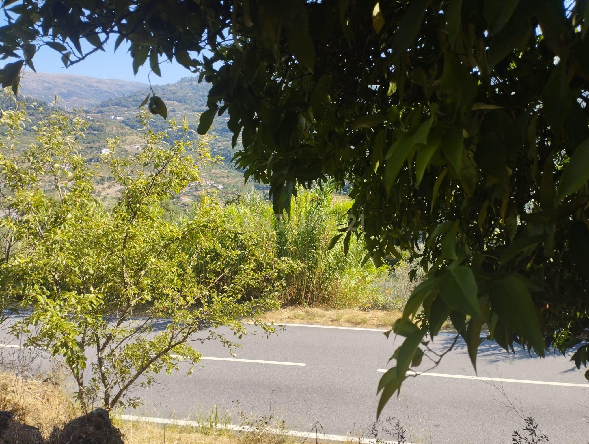 Moradia T2 à venda em Frende, Baião — foto 32