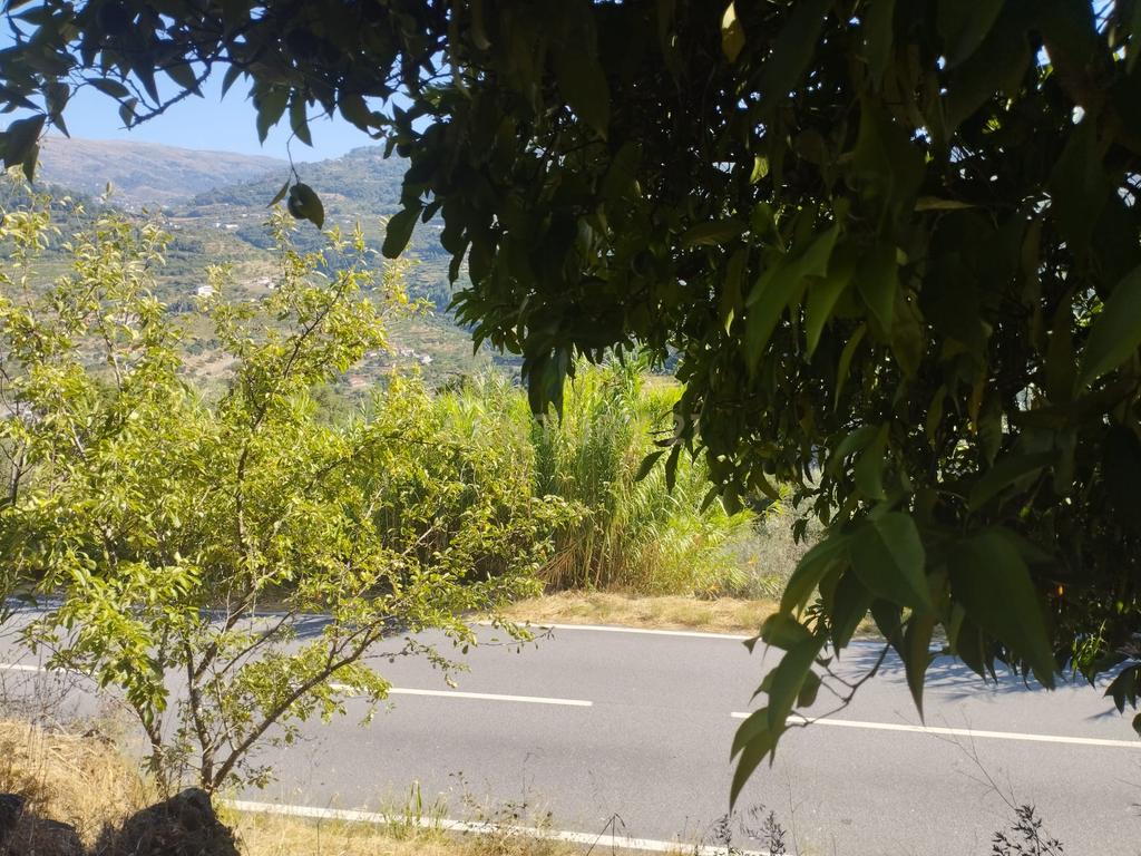 Moradia em ruina repleta de belas histórias, para reconstruir, no coração do Douro em Frende, Baião - Image 32