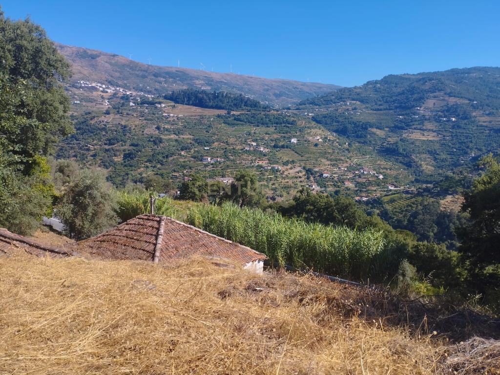 Moradia em ruina repleta de belas histórias, para reconstruir, no coração do Douro em Frende, Baião - Image 26