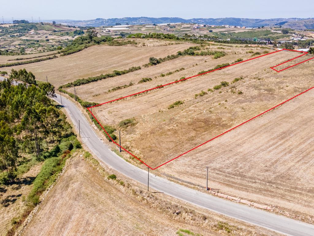Terreno - Image 7