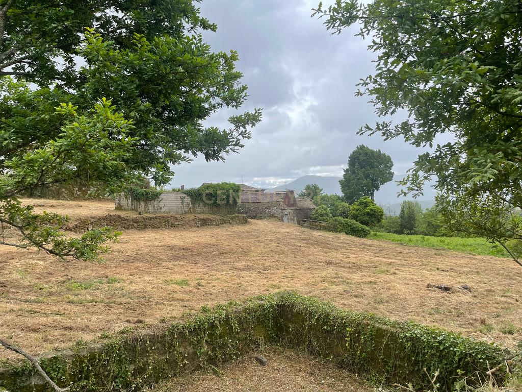 Propriedade com 1,8 hectares de área urbana e 3,2 hectares de solo fértil e floresta, composta por 8 edifícios independentes totalizando 700 m² de área construída, localizada no centro de Serrazes, São Pedro do Sul. - Image 70