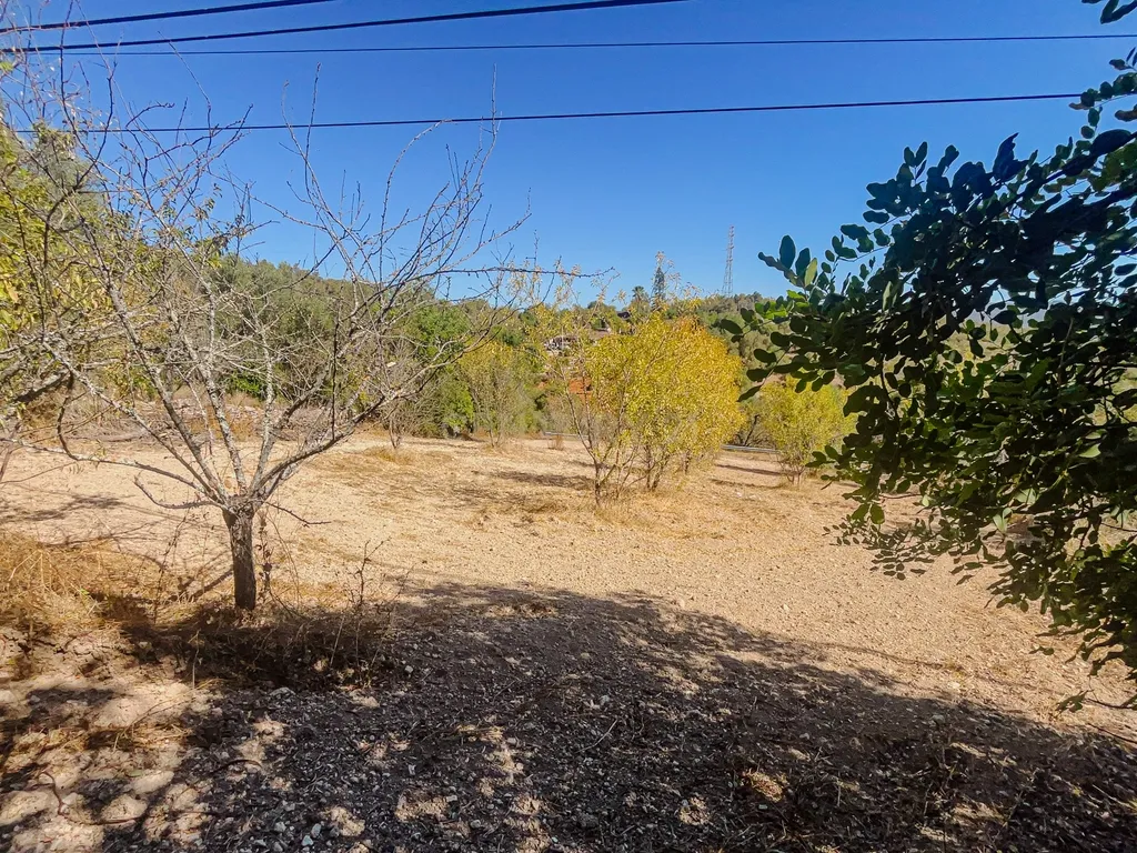 Terreno com alfarrobeiras e bons acessos perto de Paderne - Image 2