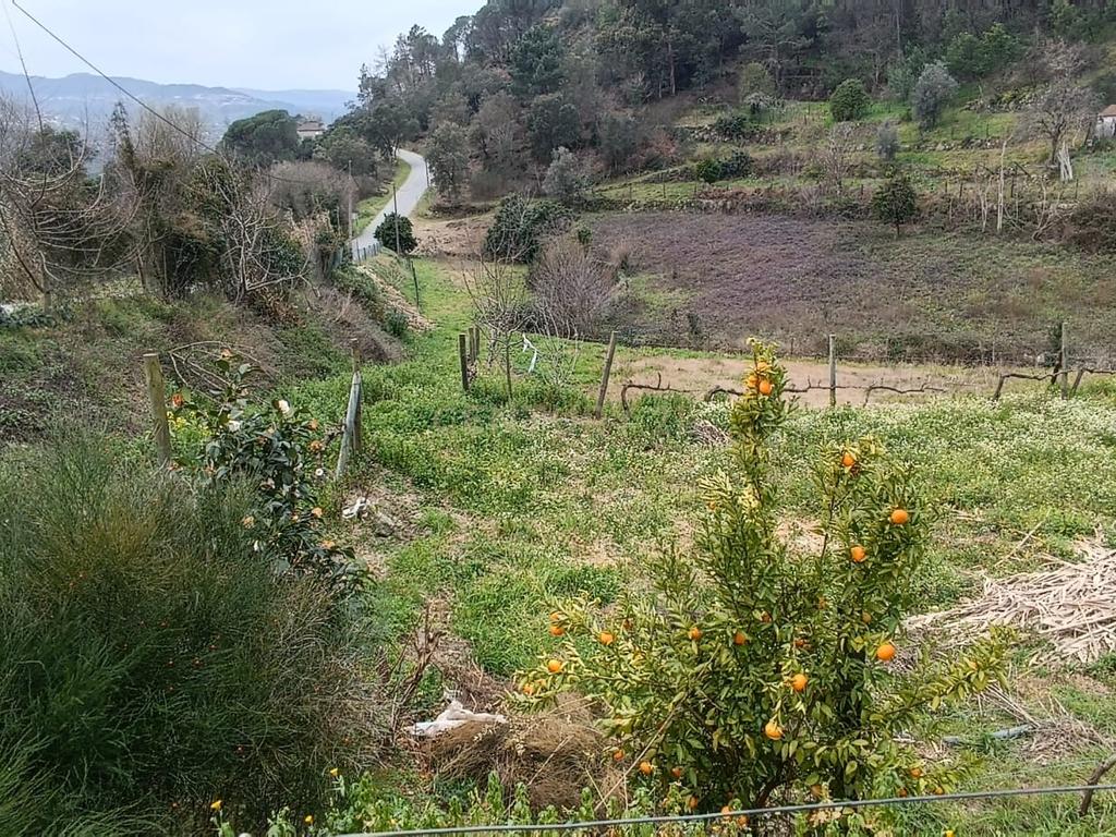 Casa com terreno de construção e agrícola perto do rio Douro em Granja, S. Tomé de Covelas, Baião, Porto - Image 28
