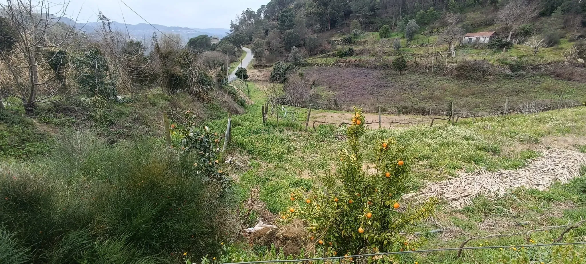 Terreno agrícola com àgua e viabilidade de construção em Granja, S. Tomé de Covelas, Baião, perto do do rio Douro, Porto - Image 28
