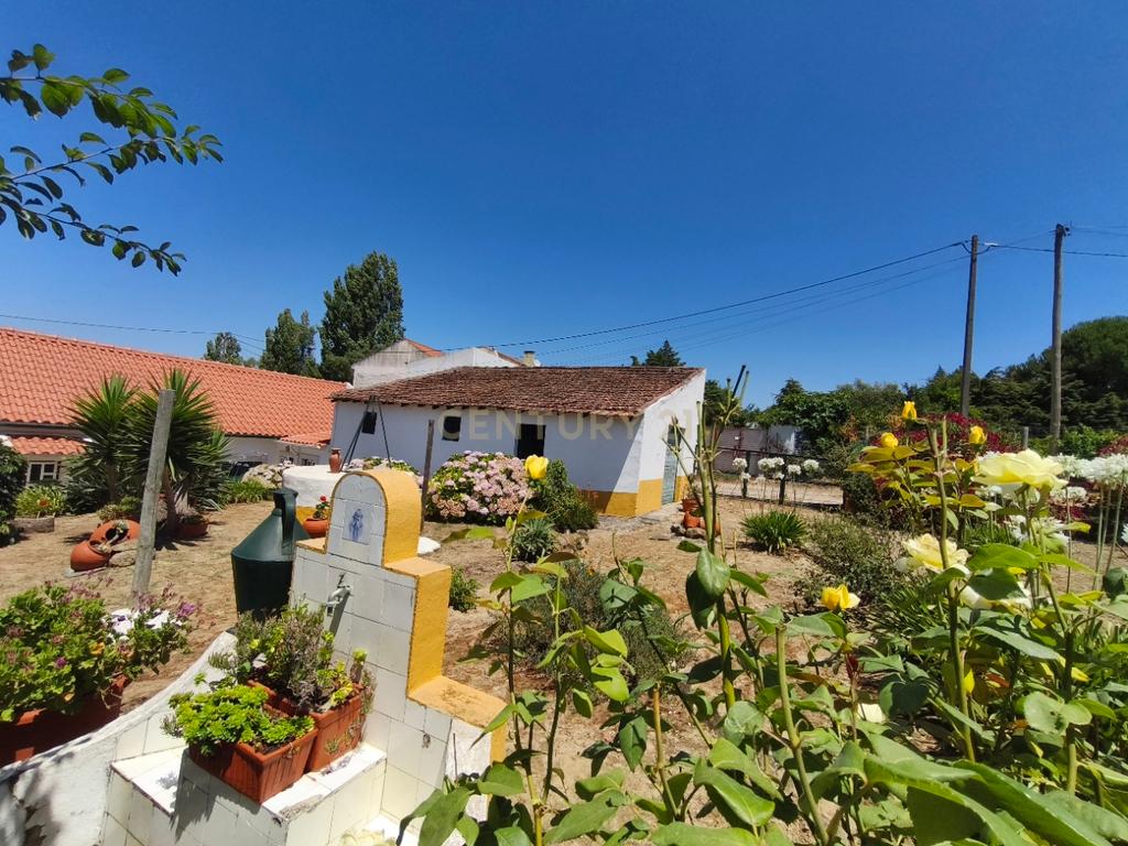 Moradia T3 com quintal e poço em Aldeia Gavinha uma mini quinta - Image 9