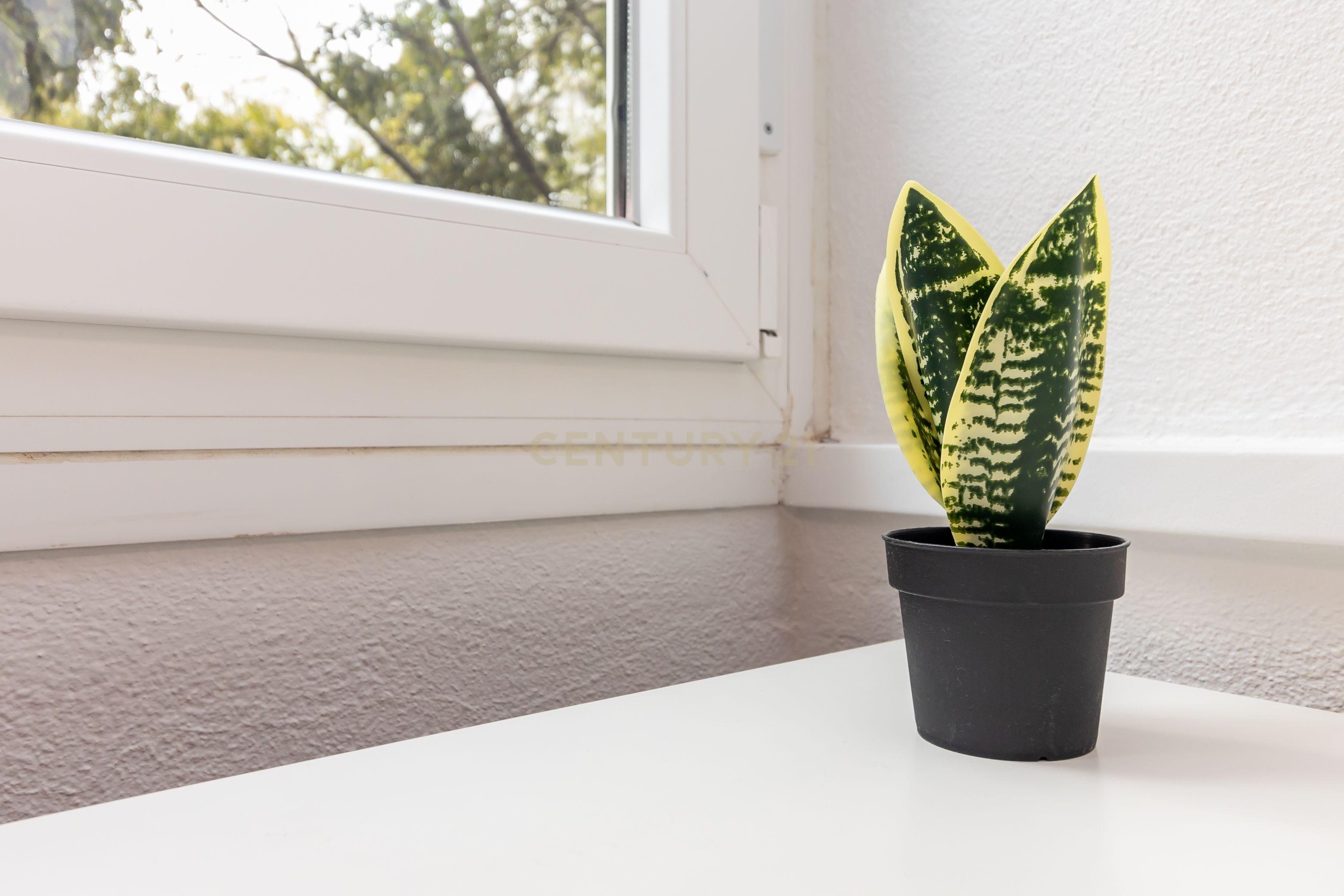 Apartamento T2 - Lisboa - Image 46