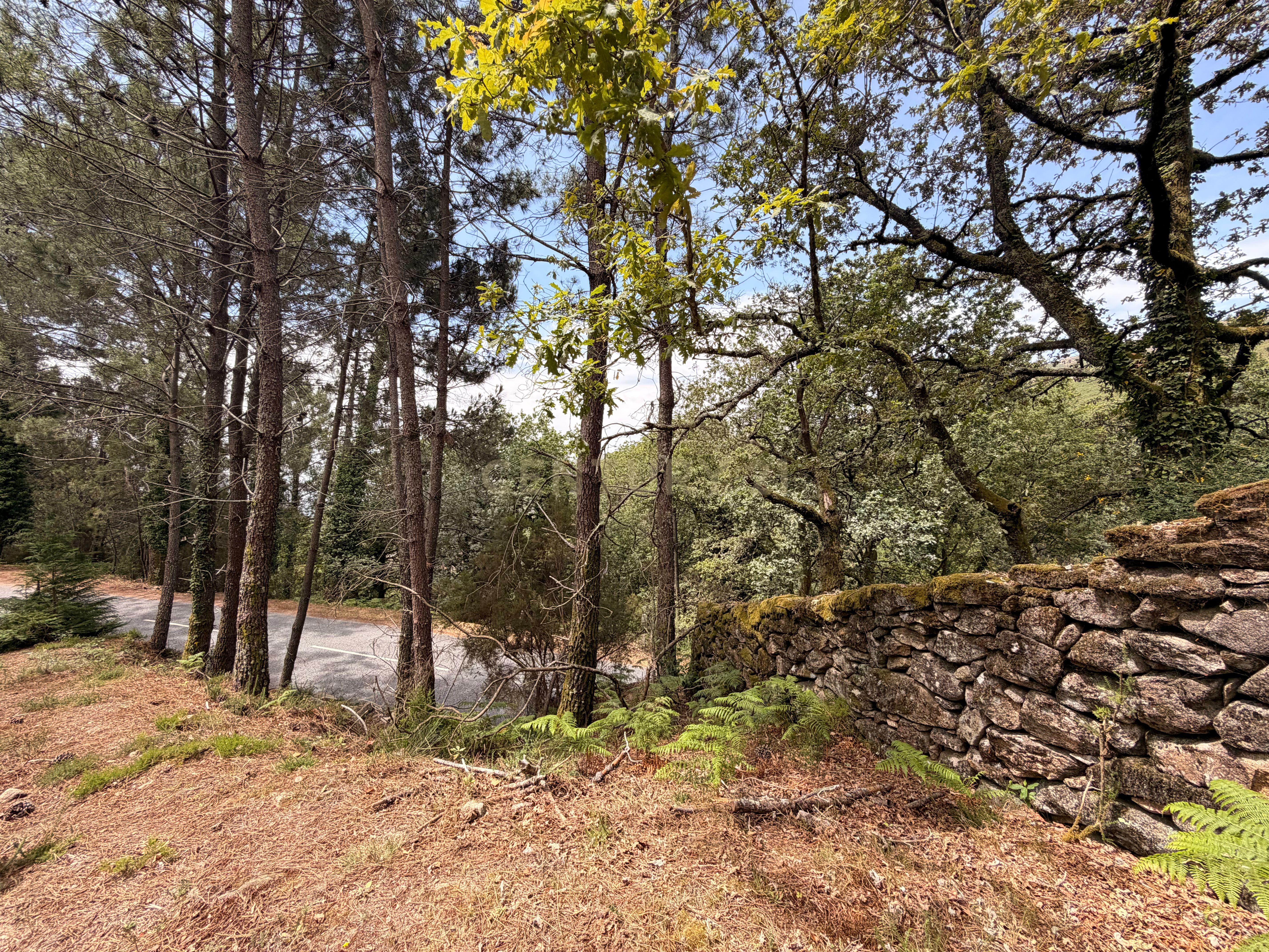 Moradia T1 à venda em Soajo, Arcos de Valdevez — foto 11