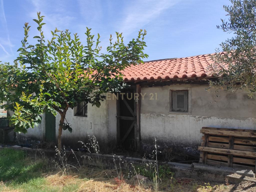 Casa Moderna em Campo de Víboras (Vimioso) com Jardim e Garagem - Image 10