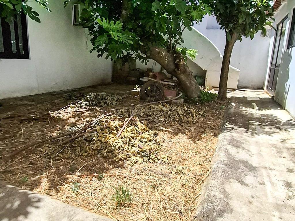 Moradia T3+2 com Terraço, Pátio e Espaço Comercial em São Bartolomeu de Messines – Silves, Faro - Image 33
